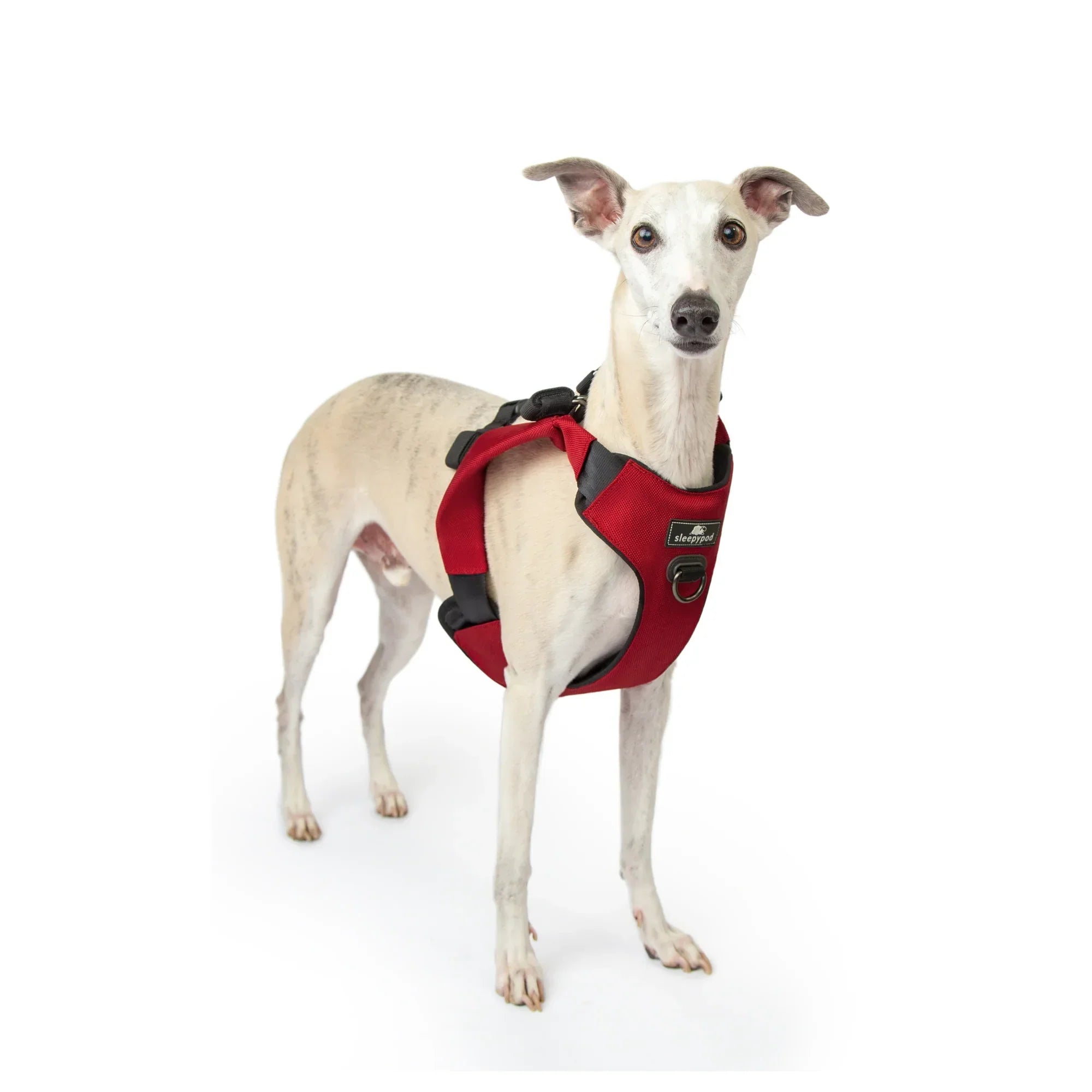 Sleepypod Clickit Range Harness - Next Generation Car Safety