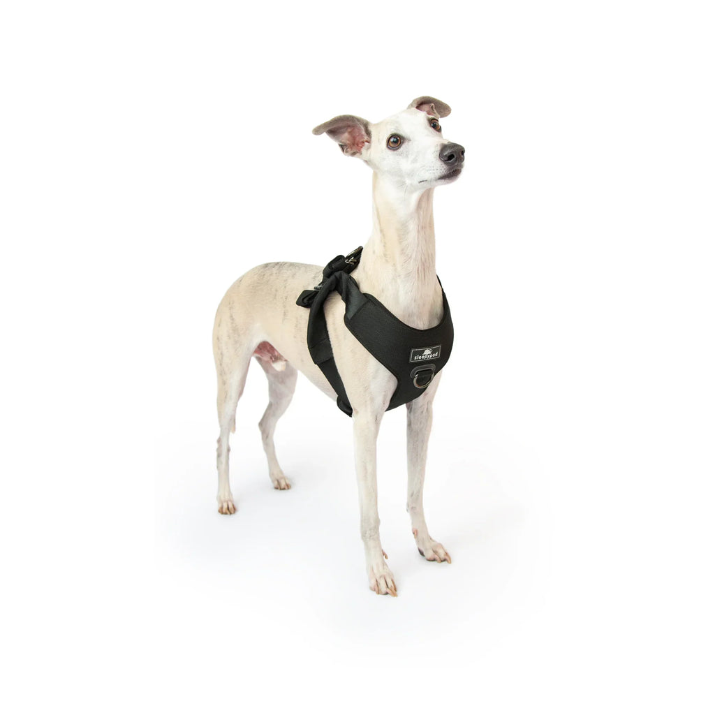 Sleepypod Clickit Range Harness - Next Generation Car Safety