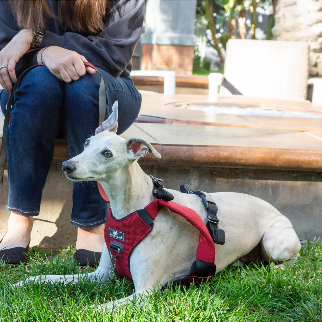 Sleepypod Clickit Range Harness - Next Generation Car Safety