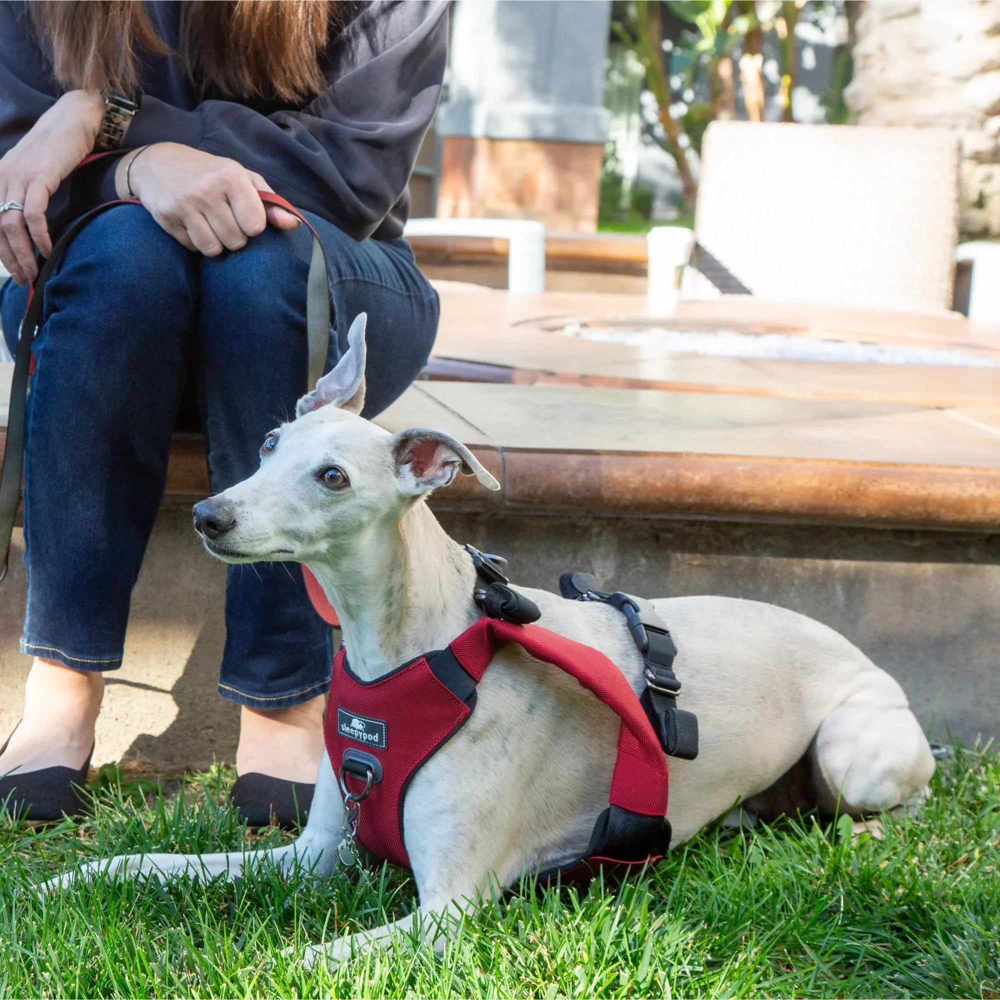 Sleepypod Clickit Range Harness - Next Generation Car Safety