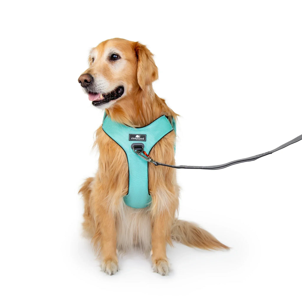 Sleepypod Clickit Range Harness - Next Generation Car Safety