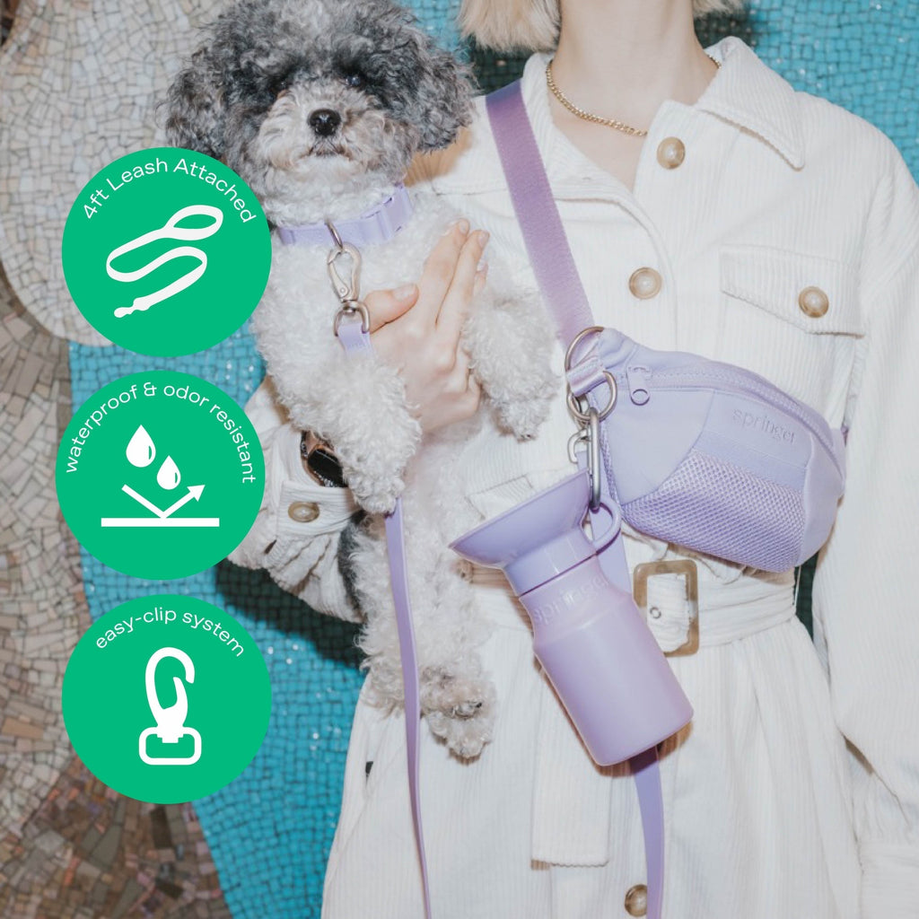The Hands-Free Dog Sling Bag with Leash
