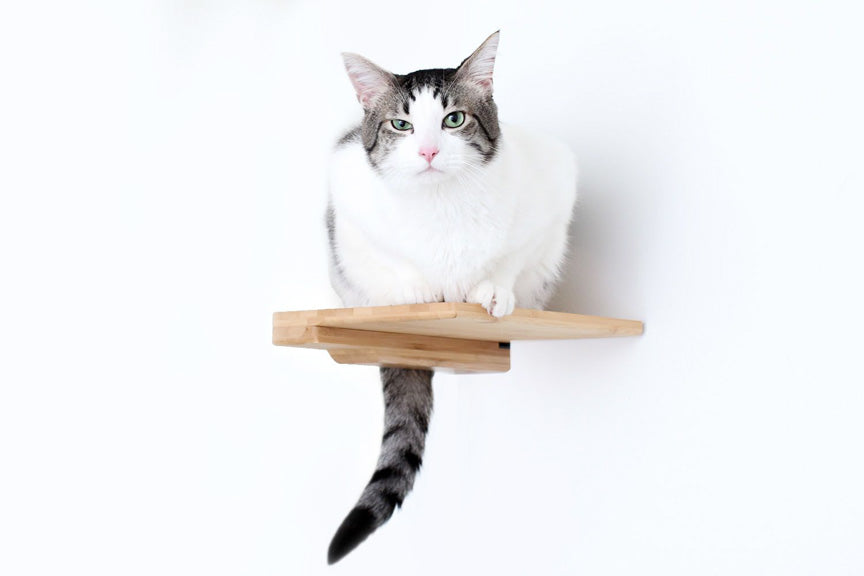 Catastrophic Creations Cat Climbing Shelf