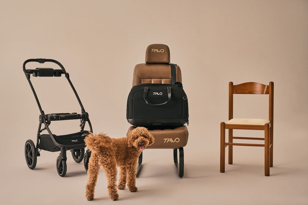 Tavo Pets Maeve™ iso5x Wind Series - Tavo’s  newest crash-tested car seat! Please Note Shipping Time Frame in Description