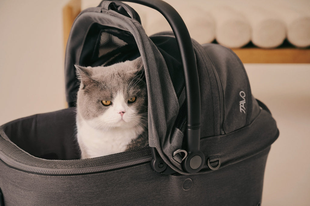 Tavo Pets Maeve™ iso6X Wind Series - Tavo’s  newest crash-tested car seat! Please Note Shipping Time Frame in Description