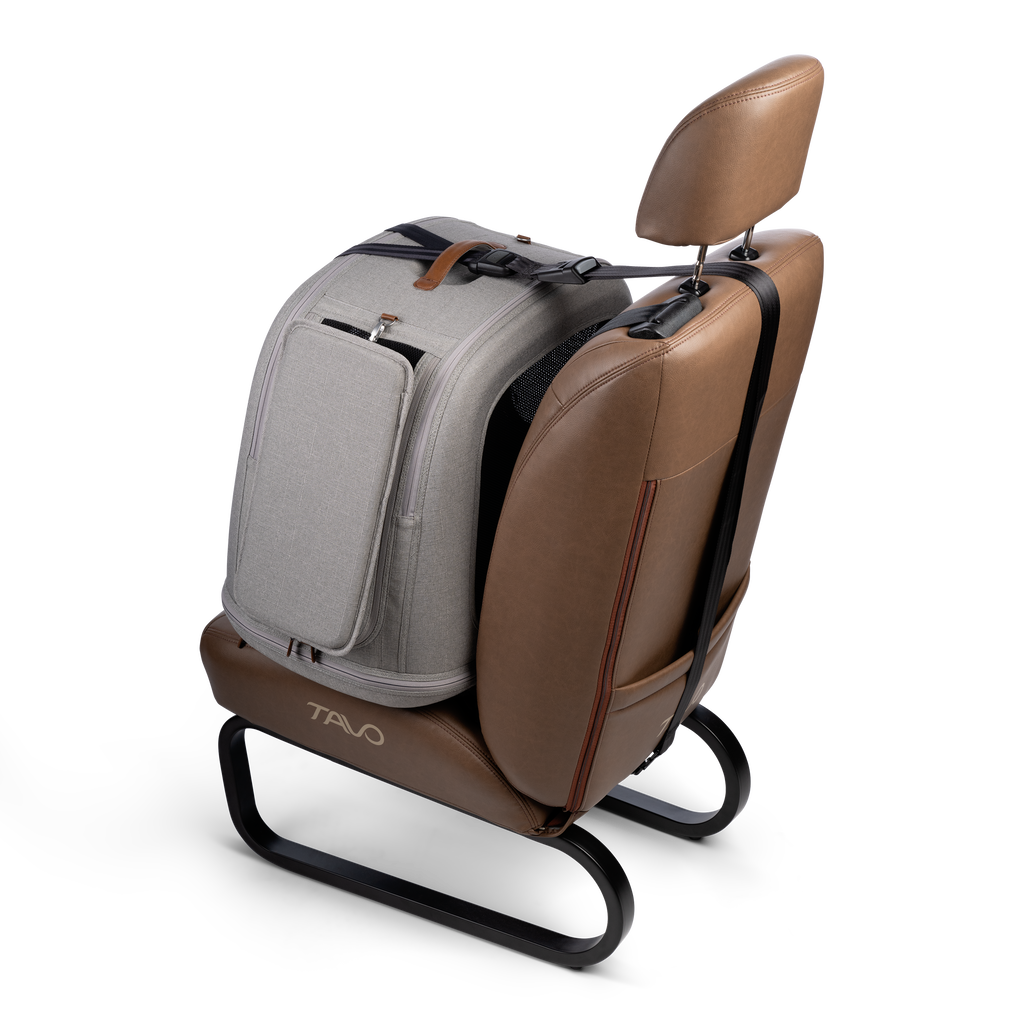 Crispin Impact-Tested Pet Travel Crate by Tavo Pets - Please Note Shipping Time Frame in Description