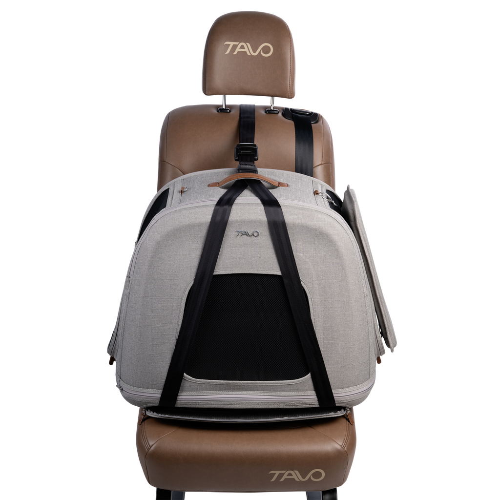 Crispin Impact-Tested Pet Travel Crate by Tavo Pets - Please Note Shipping Time Frame in Description