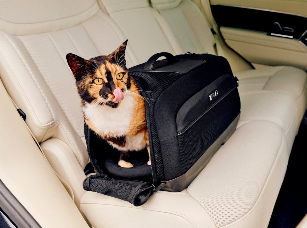 Tavo Pets Dupree II Airline Carry-On Pet Car Seat and Optional Roscoe Stroller - Please Note Shipping Time Frame in Description