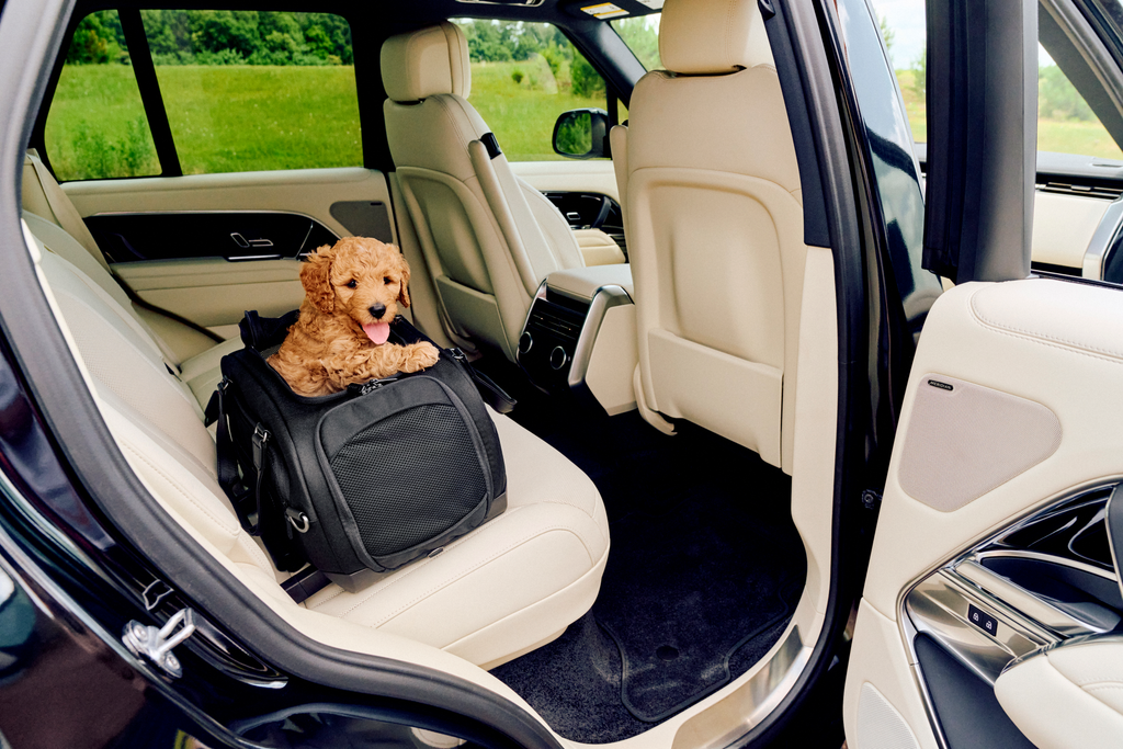 Tavo Pets Dupree II Airline Carry-On Pet Car Seat and Optional Roscoe Stroller - Please Note Shipping Time Frame in Description