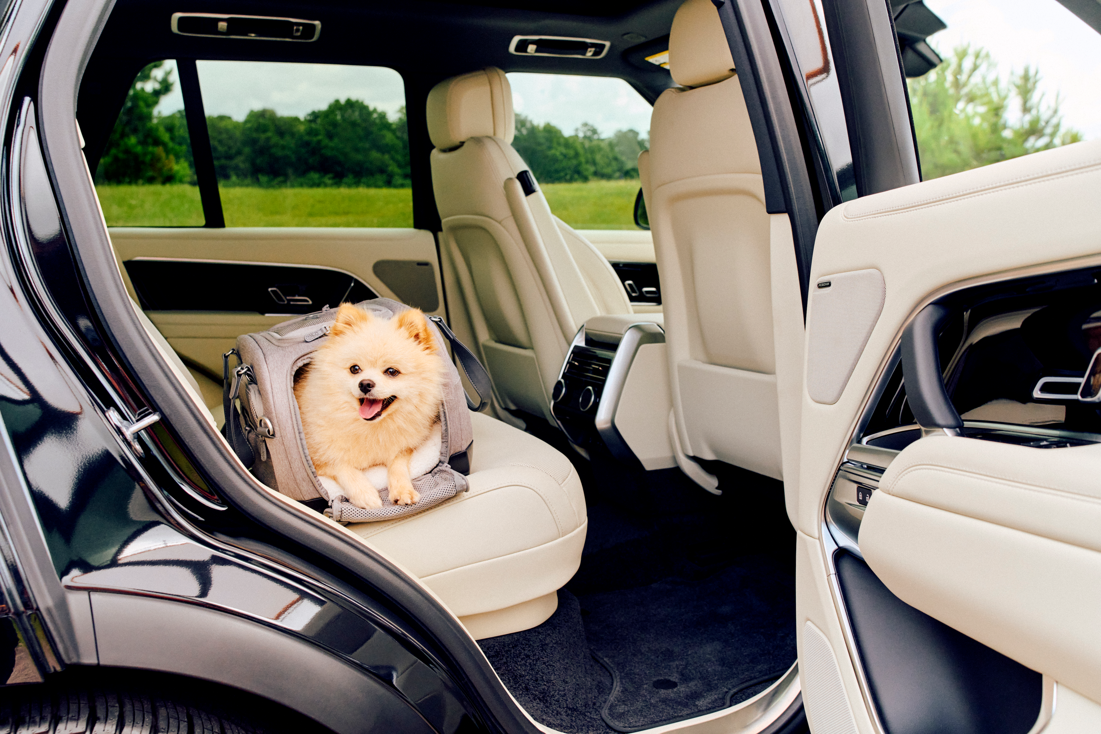 Tavo Pets Dupree II Airline Carry-On Pet Car Seat and Optional Roscoe Stroller - Please Note Shipping Time Frame in Description