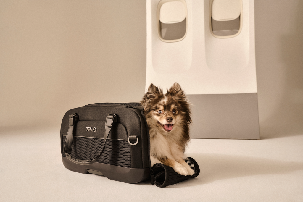 Tavo Pets Dupree II Airline Carry-On Pet Car Seat and Optional Roscoe Stroller - Please Note Shipping Time Frame in Description