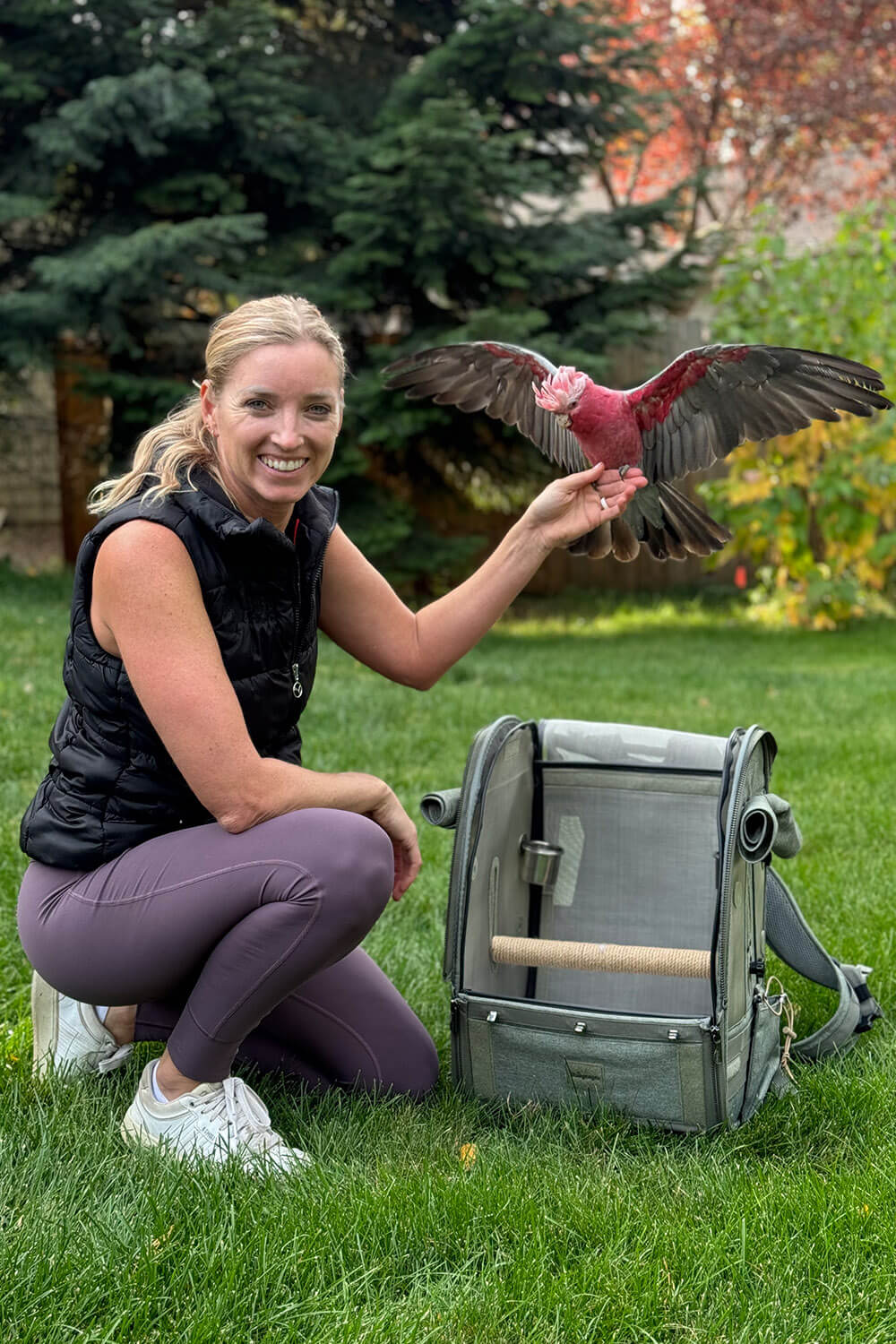 Ibiyaya Medium Size TrackPack, Backpack Bird Travel Carrier with Perch – Jungle Green