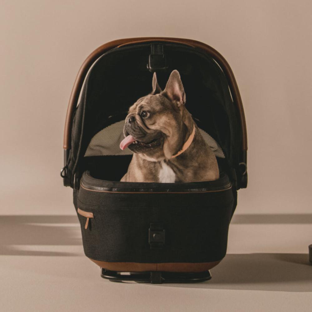 Tavo Pet Maeve™ Crash Tested Car Seat Carrier - Please Note Shipping Time Frame in Description