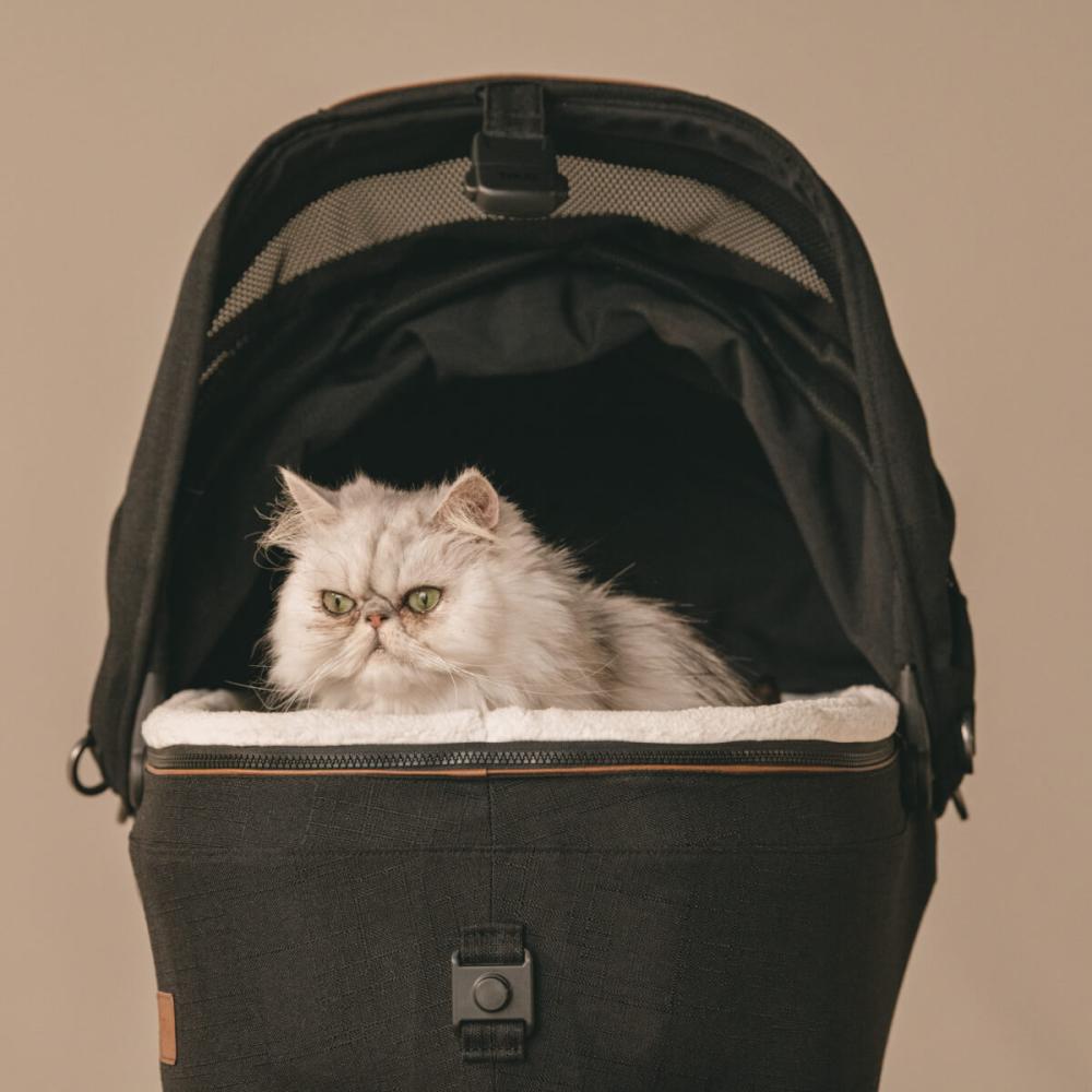 Tavo Pet Maeve™ + Roscoe™ - 3 in 1 Pet Protection - Please Note Shipping Time Frame in Description