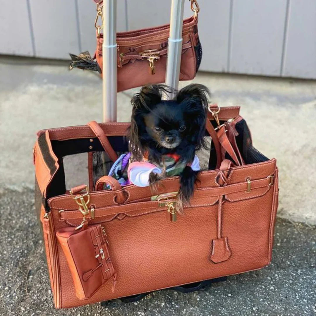 A Pet with Paws® Madison Carrier With Pet Trek Wheelbase