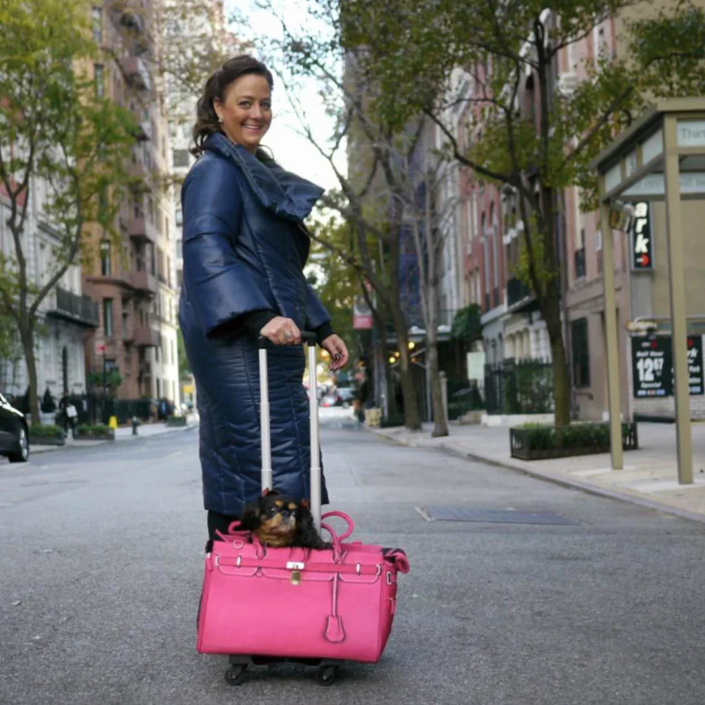 A Pet with Paws® Madison Carrier With Pet Trek Wheelbase