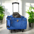 A Pet with Paws® Madison Carrier With Pet Trek Wheelbase