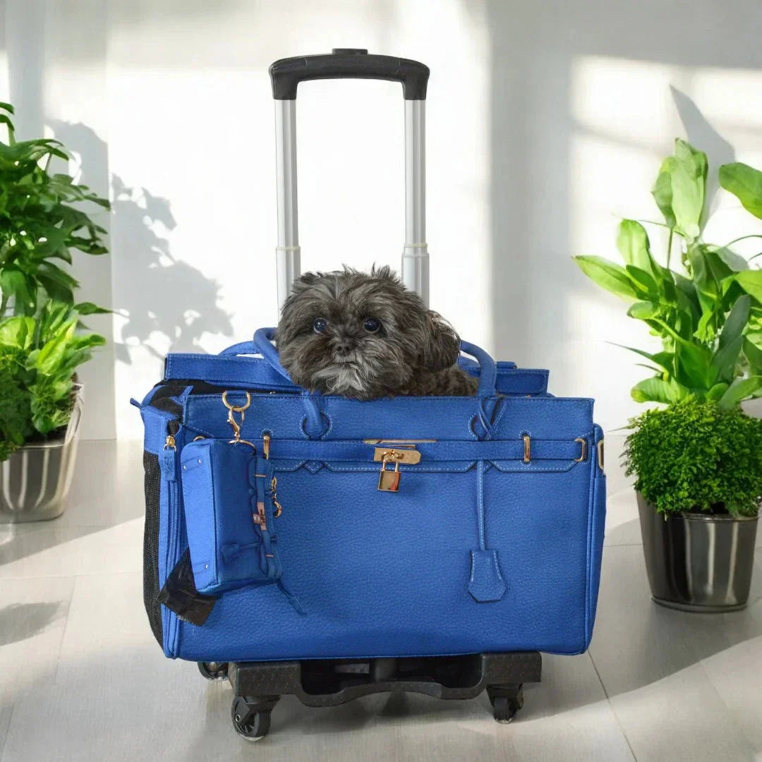 A Pet with Paws® Madison Carrier With Pet Trek Wheelbase