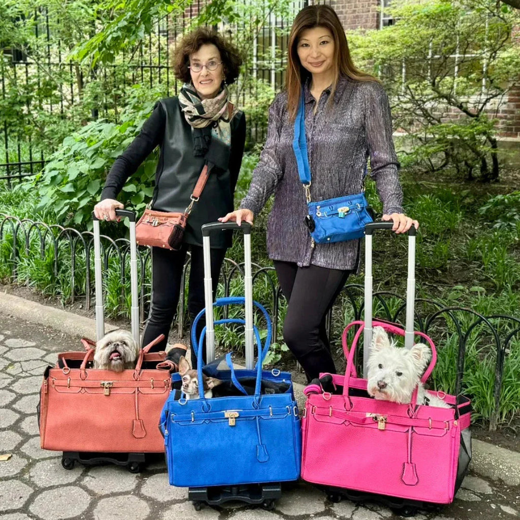A Pet with Paws® Madison Carrier With Pet Trek Wheelbase