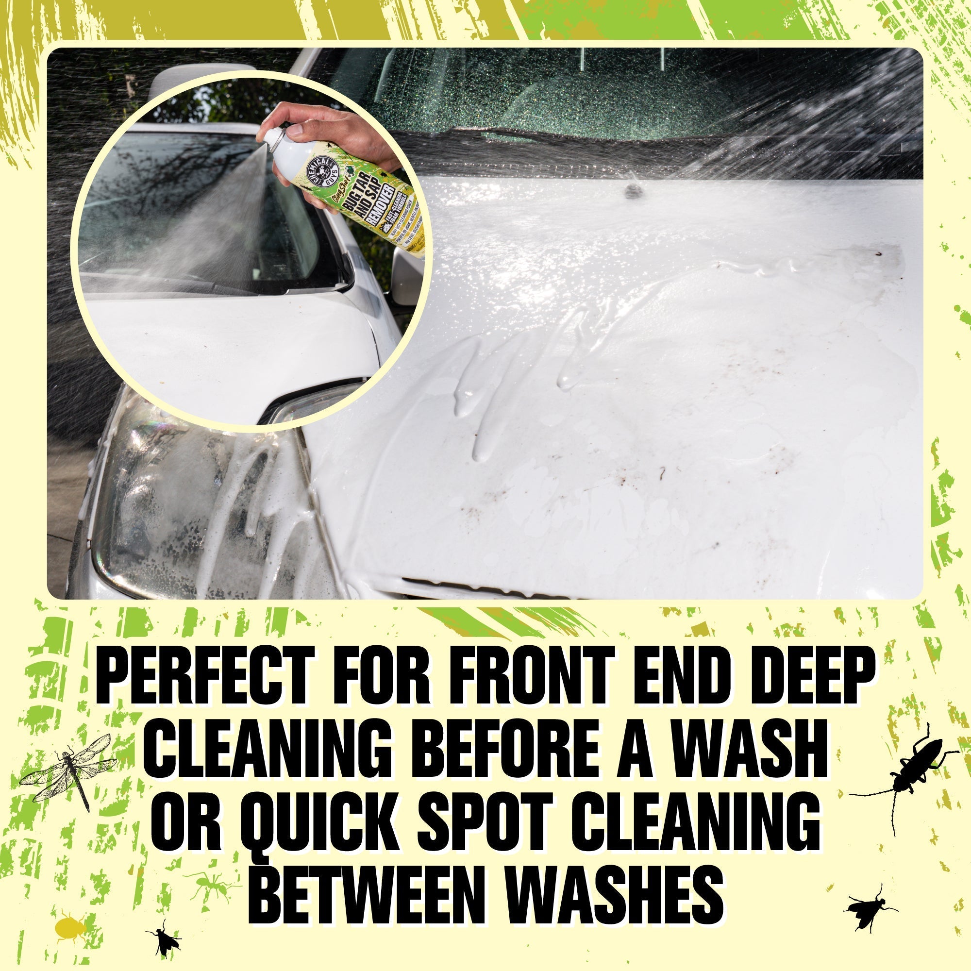 Bug, Tar, Sap Removal Kit