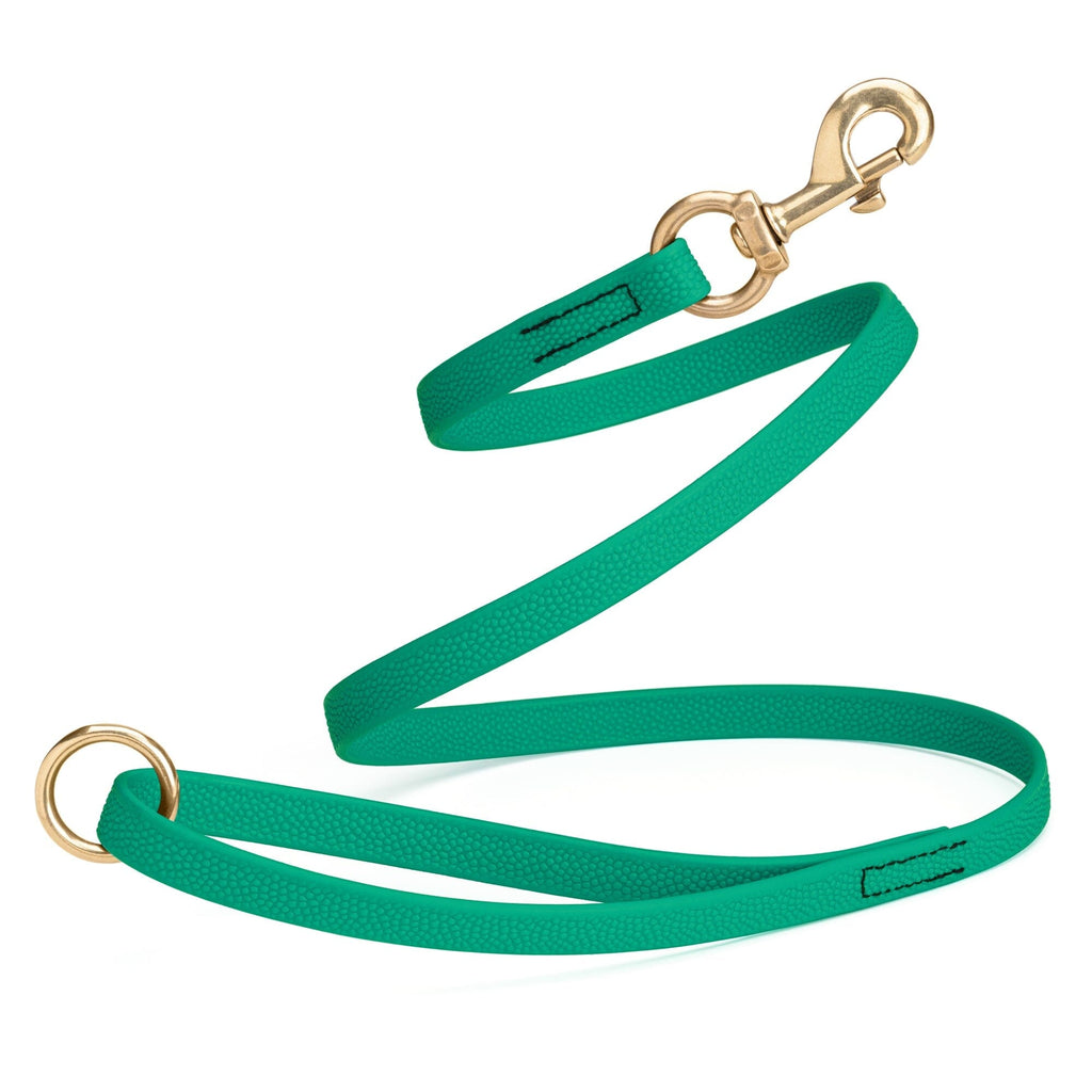 Viper Pebble Emboss BioThane Dog Leash with Solid Brass Hardware, 5 ft