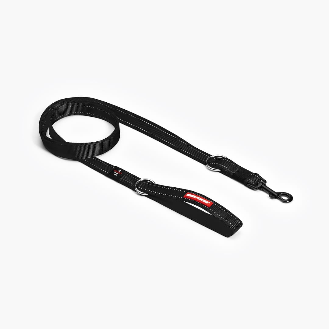 Vario 4™ Multi-Function Leash