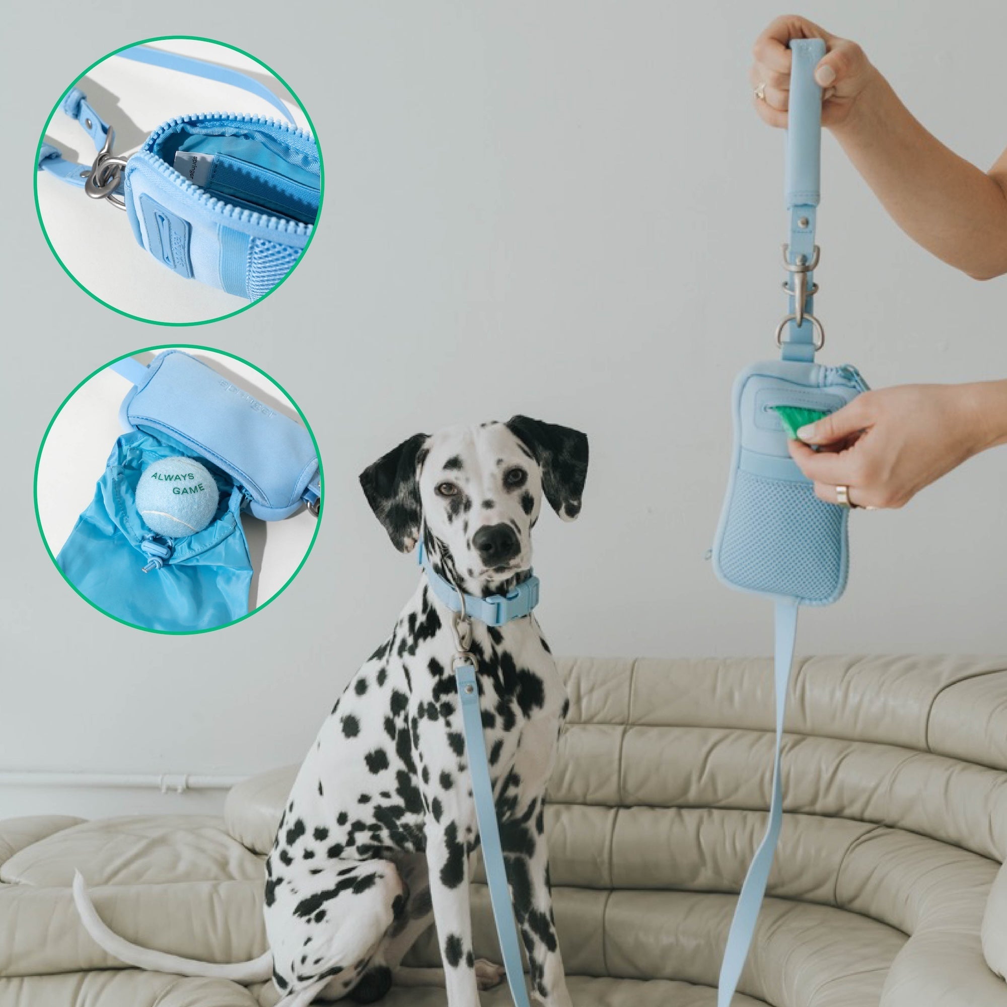 The Dog Walk Bag with Leash
