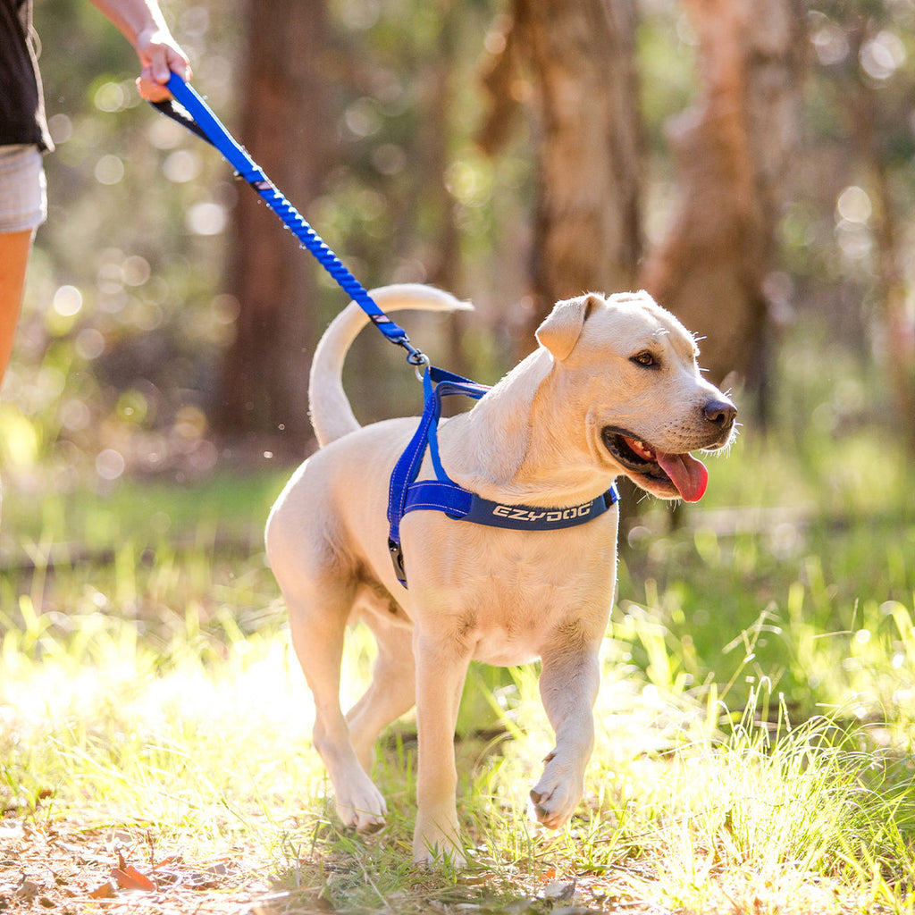 Walking Bundle