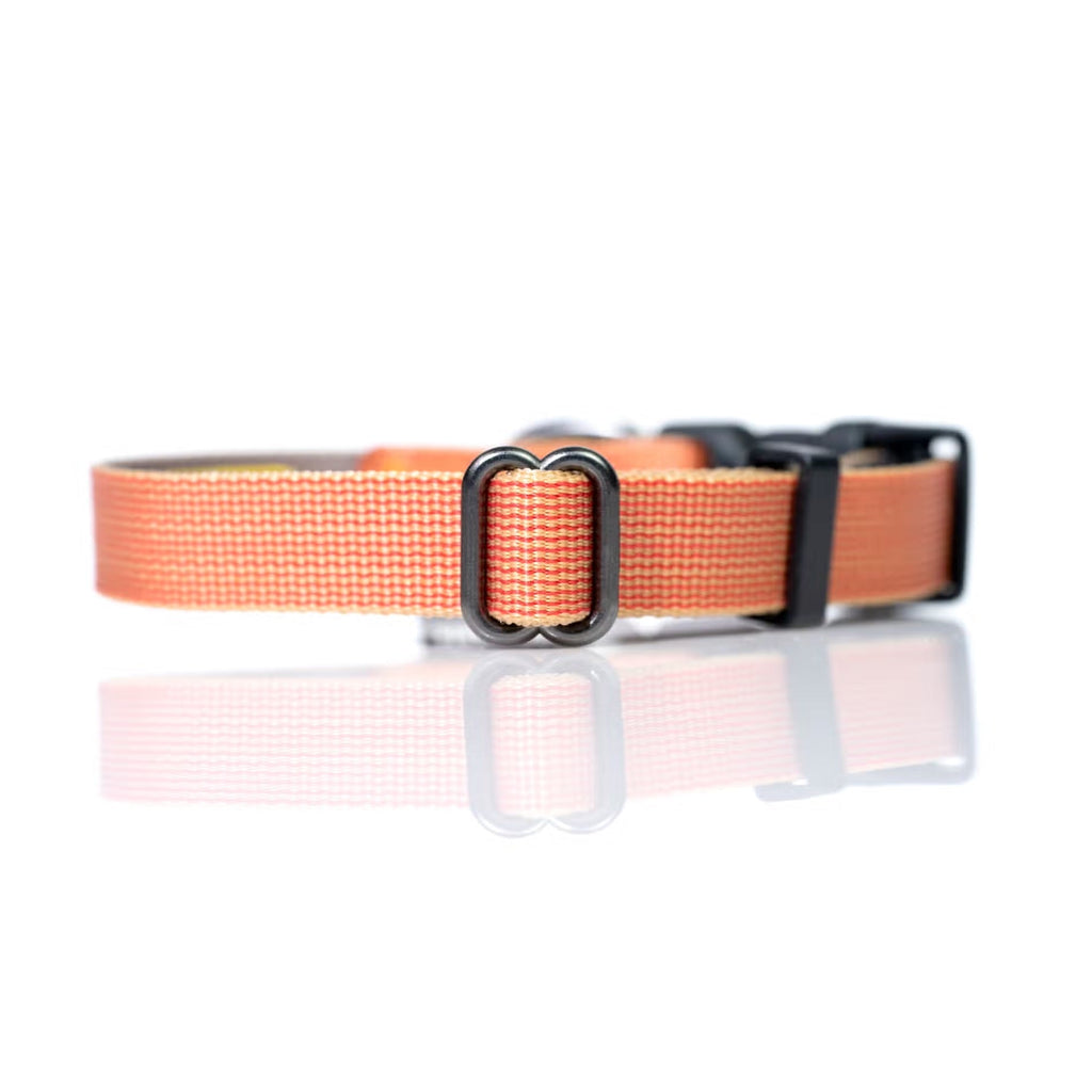 Sleepypod Everyday Collar
