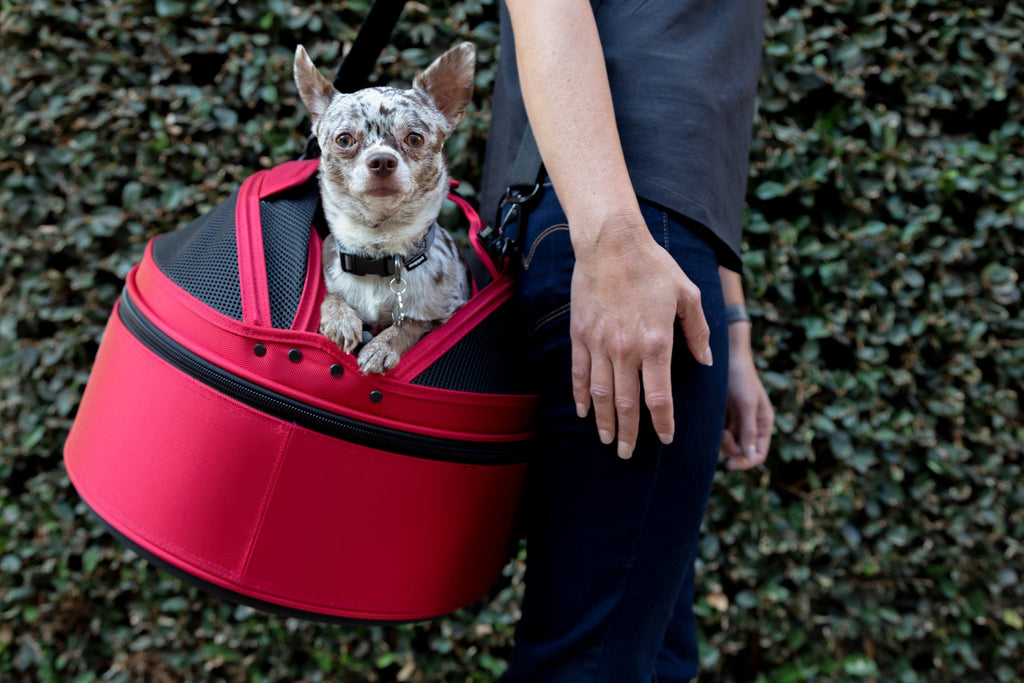 Sleepypod Mobile Pet Bed – Crash-Tested, Ultra-Plush Travel Bed for Small Pets - Full Size