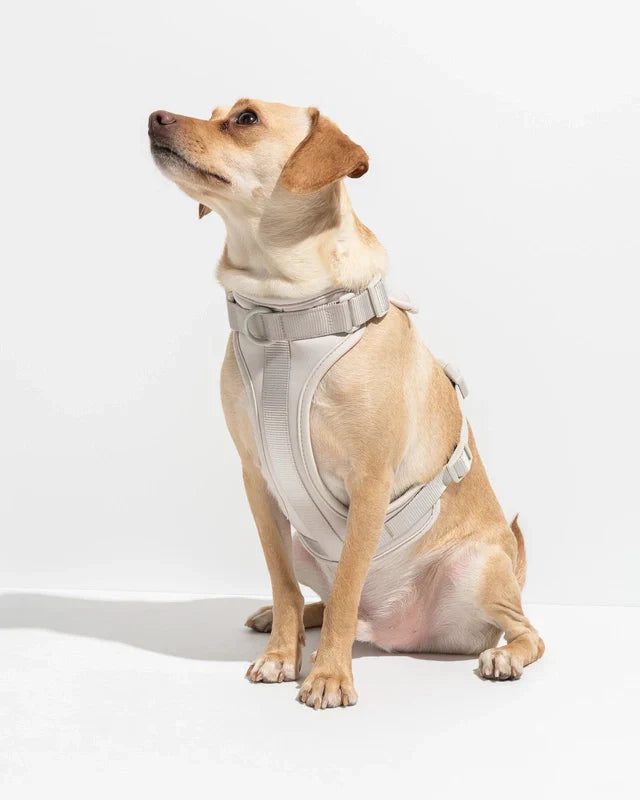 Wild One Adjustable Comfort Dog Harness