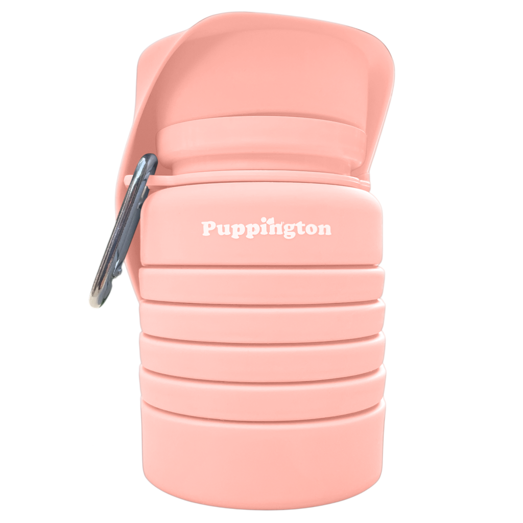 Puppington Collapsible Water Bottles for Dogs - Leakproof, Compact, BPA free