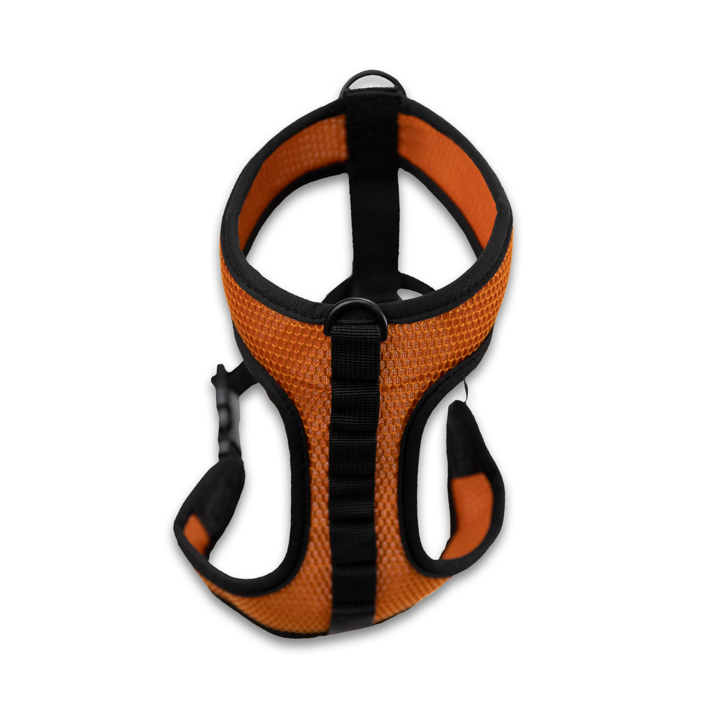 K9 Sport Harness