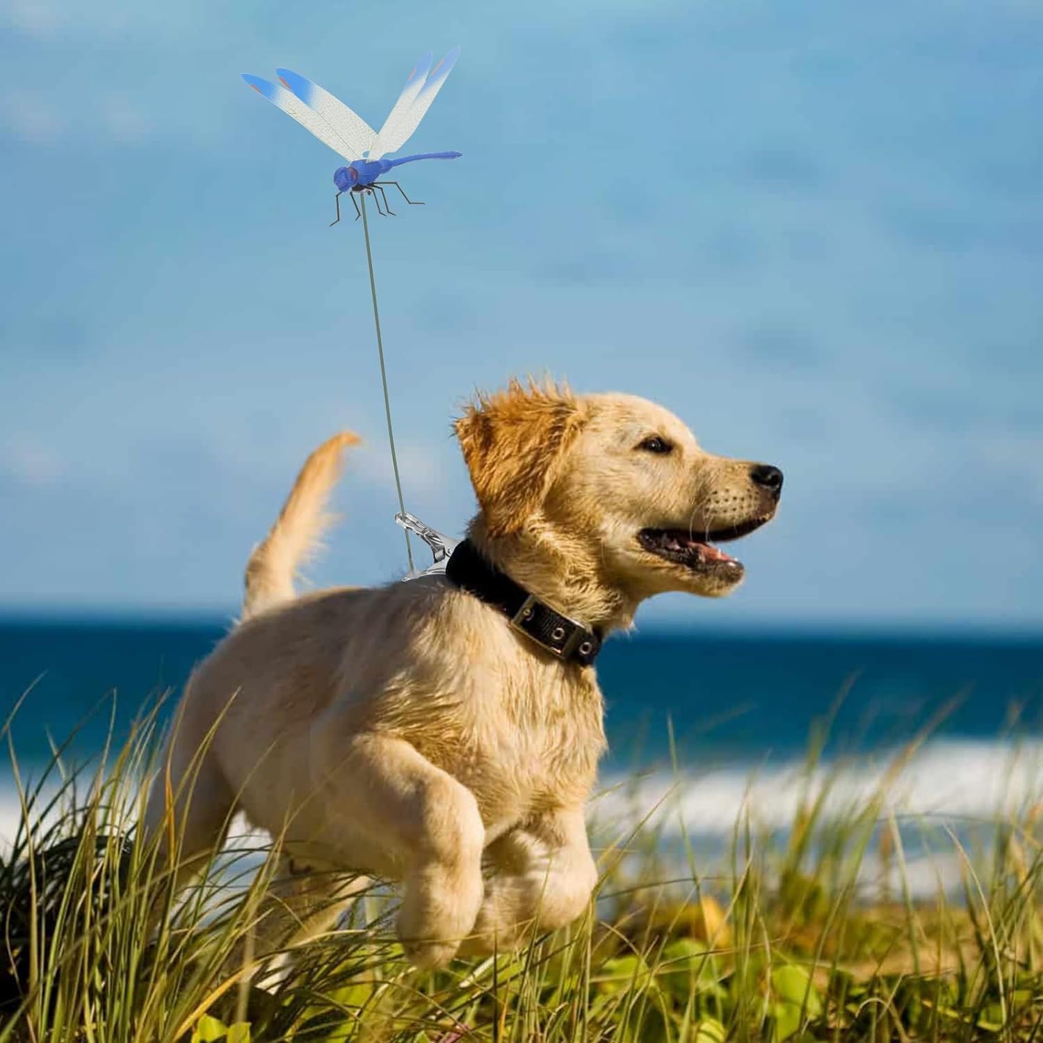 12 Pack Dragonfly Clip,3D Dragonfly Garden Stakes Decor,Fly Deterrent,Dragonfly Humming Bird Stakes,Deer and Horse,Bird and Fly Scare Devices for Indoor Outdoor Garden