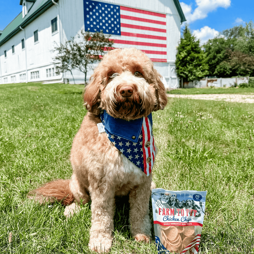Americana Chicken Chips