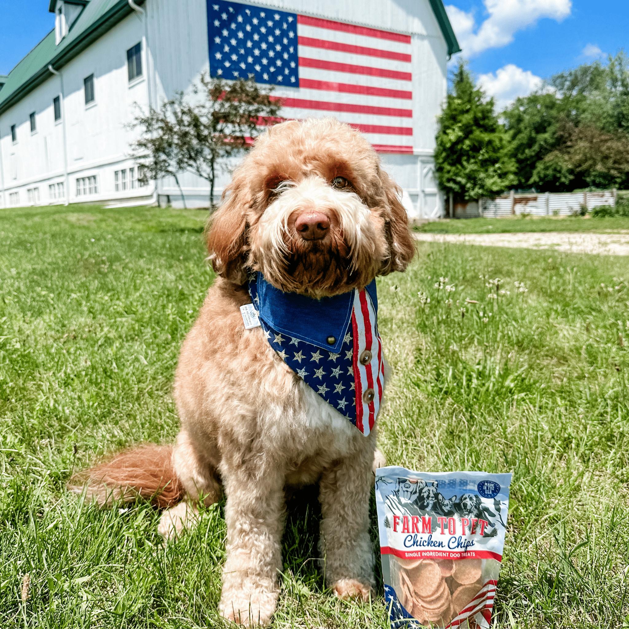 Americana Chicken Chips