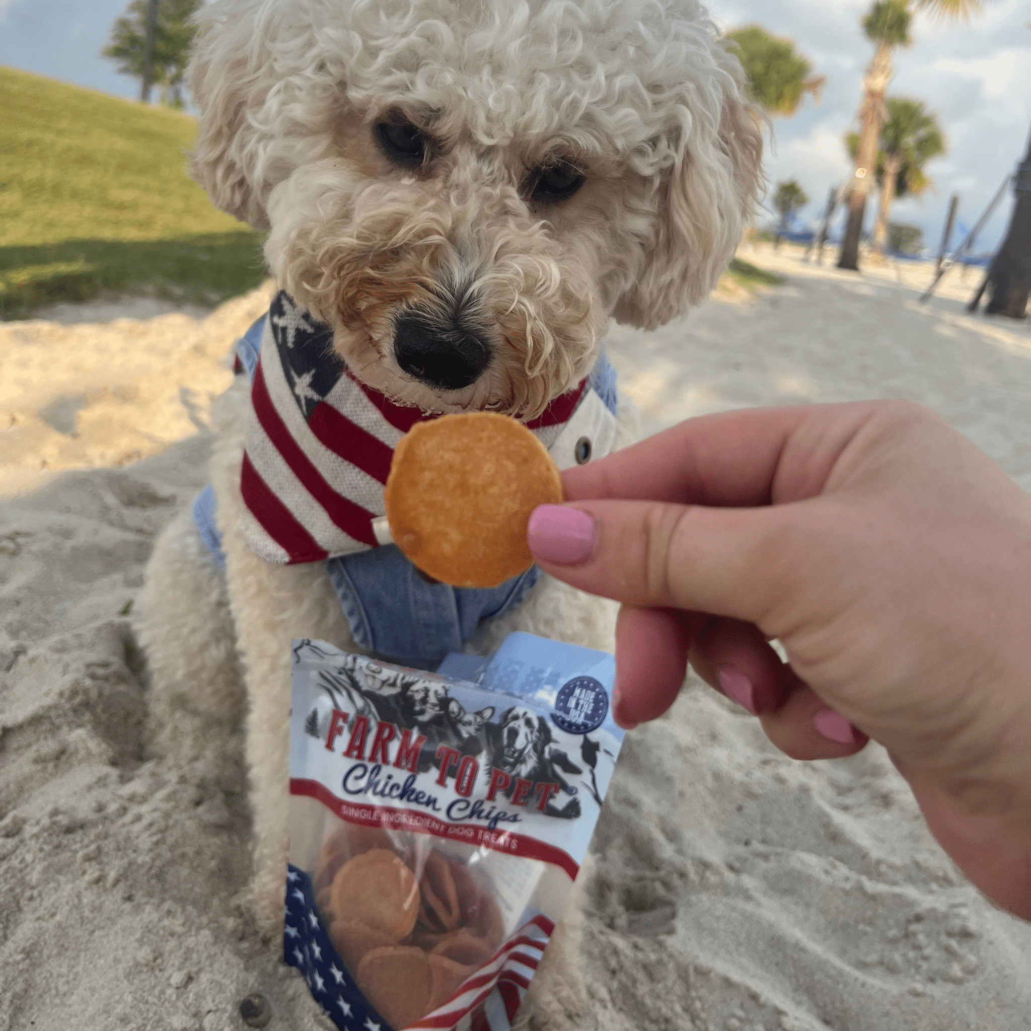 Americana Chicken Chips