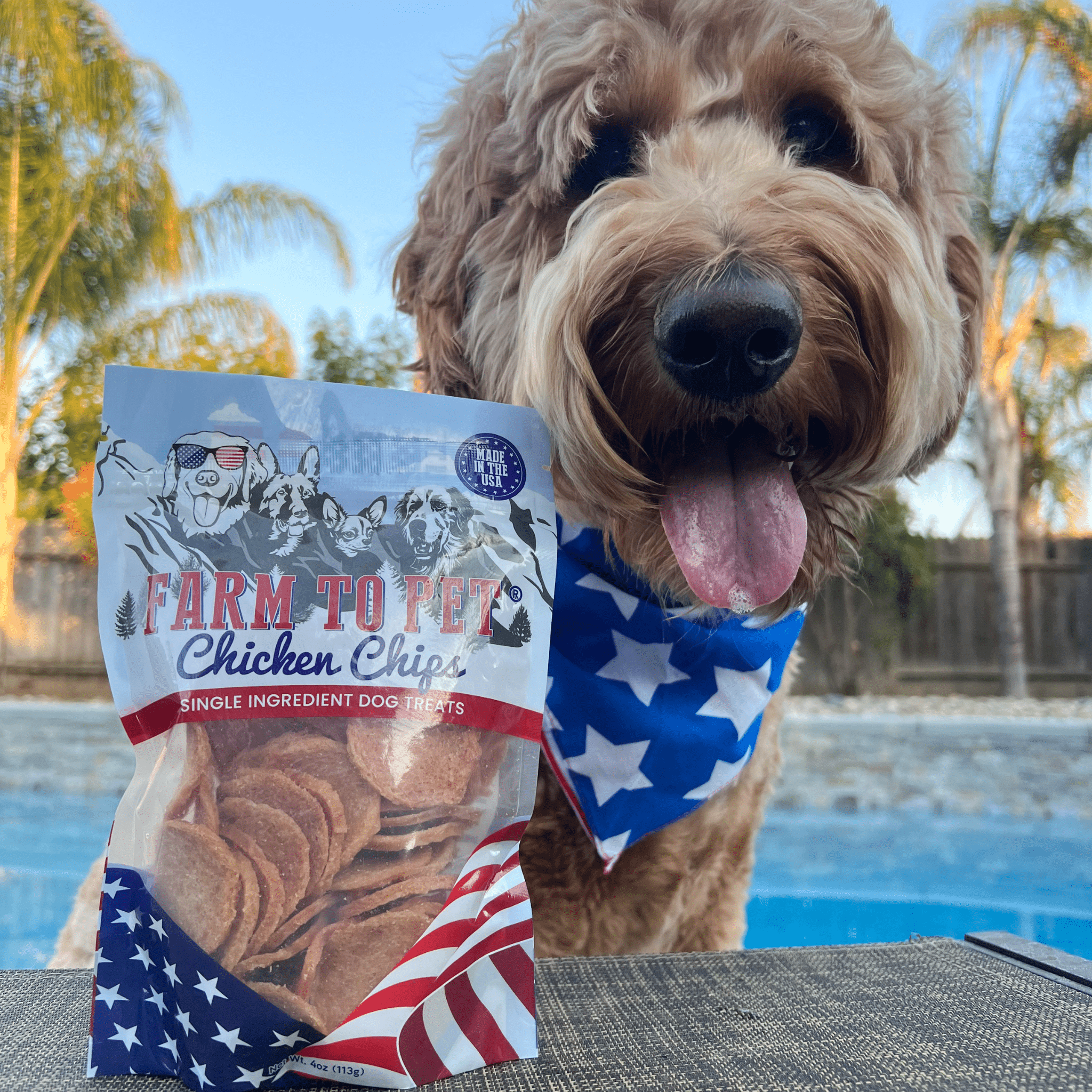 Americana Chicken Chips
