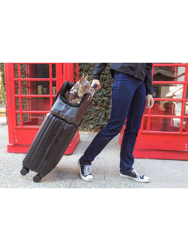 Sleepypod Atom Small Pet Carrier - Airline Compliant, Crash Tested Model