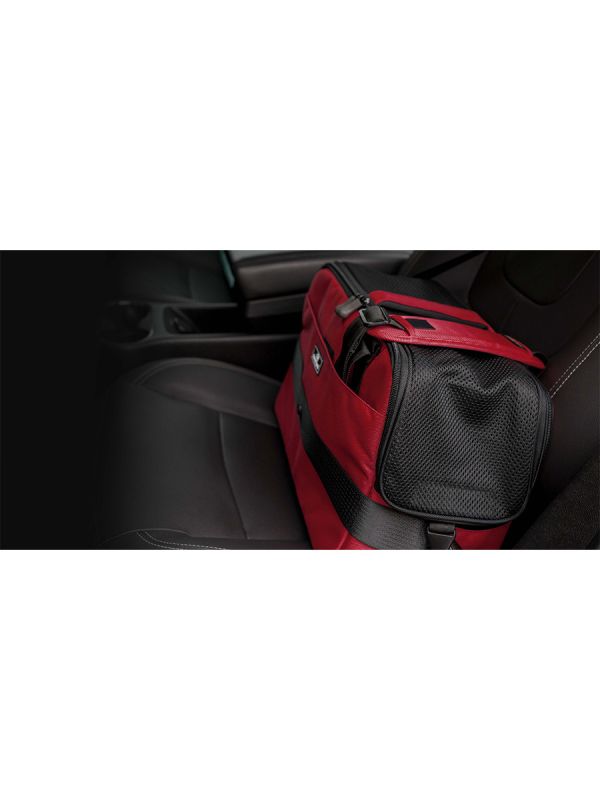 Sleepypod Atom Small Pet Carrier - Airline Compliant, Crash Tested Model