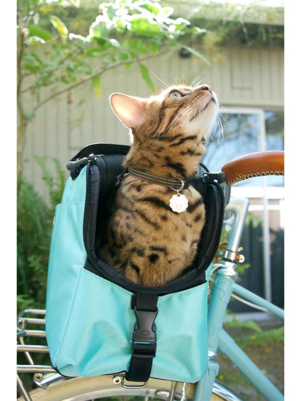 Sleepypod Atom Small Pet Carrier - Airline Compliant, Crash Tested Model