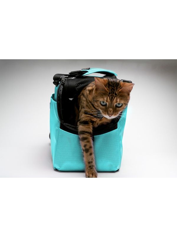 Sleepypod Atom Small Pet Carrier - Airline Compliant, Crash Tested Model