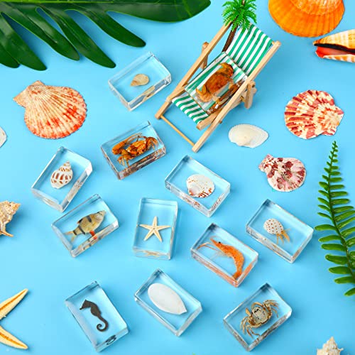 12 Pcs Insect in Resin Specimen Bugs Collection Arachnid Resin Paperweights Different Insect Specimen Bug for Kids Scientific Educational Toy, 12 Styles(Ocean Theme)