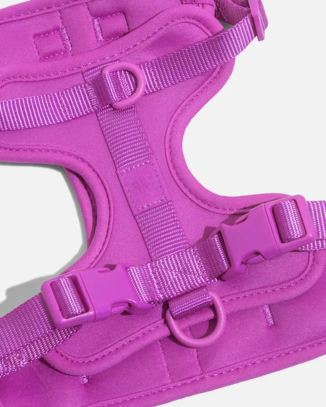 Wild One Adjustable Comfort Dog Harness