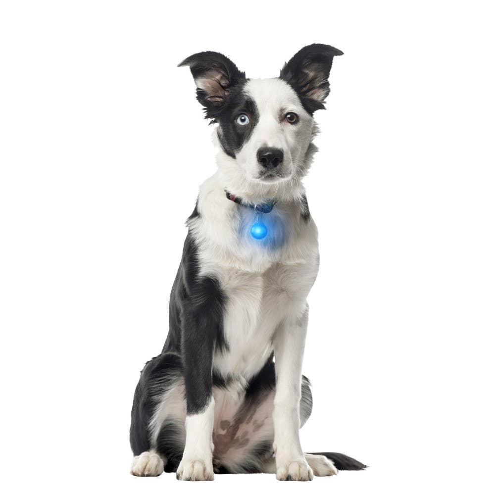 Nite Ize PetLit/SpotLit Collar Light