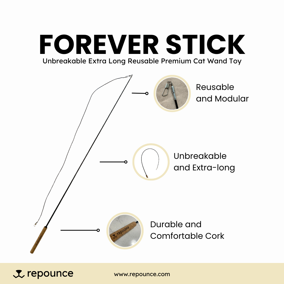 Repounce Forever Stick — Unbreakable 36″ Cat Wand with Cork Handle