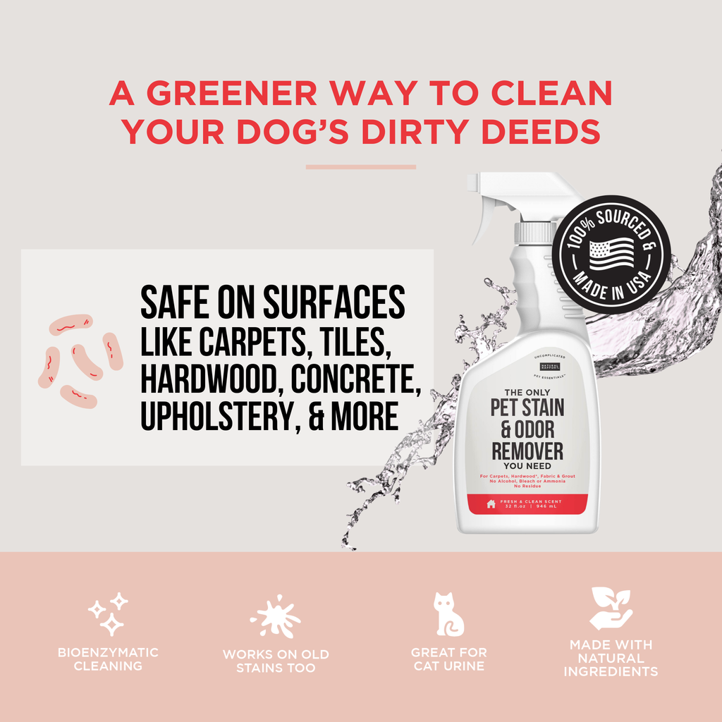 Natural Rapport - The Only Enzymatic Pet Stain & Odor Remover You Need