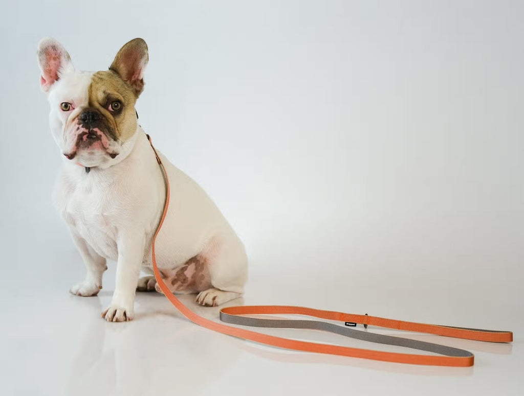 Sleepypod Slim Leash