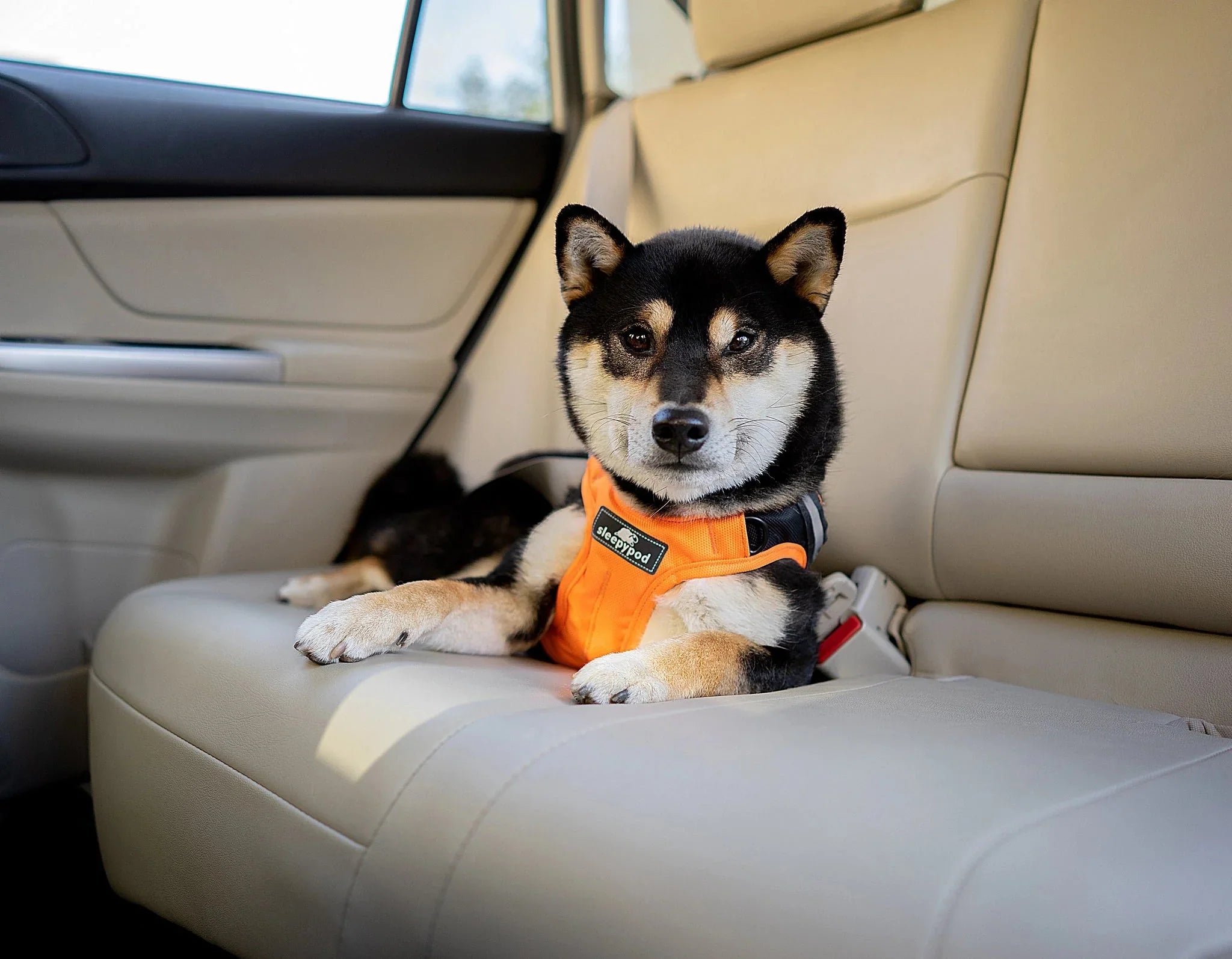 Sleepypod - Clickit Terrain Plus Crash Tested Car Harness