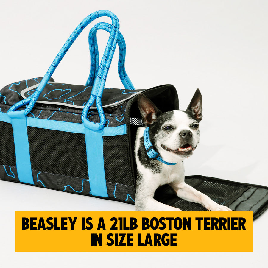 OUT-OF-OFFICE PET CARRIER RE-LOVED EDITION